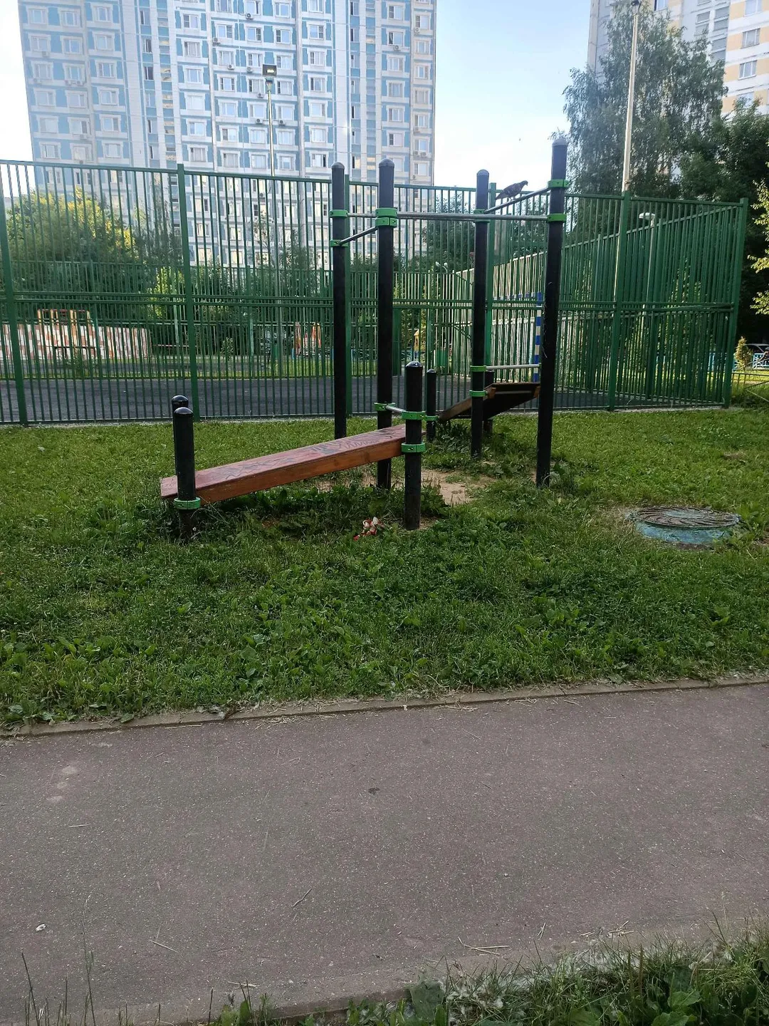 Wall Bars at Calisthenics Park at Тропарёвская улица, Москва #wp3098 – photo 4 of 6