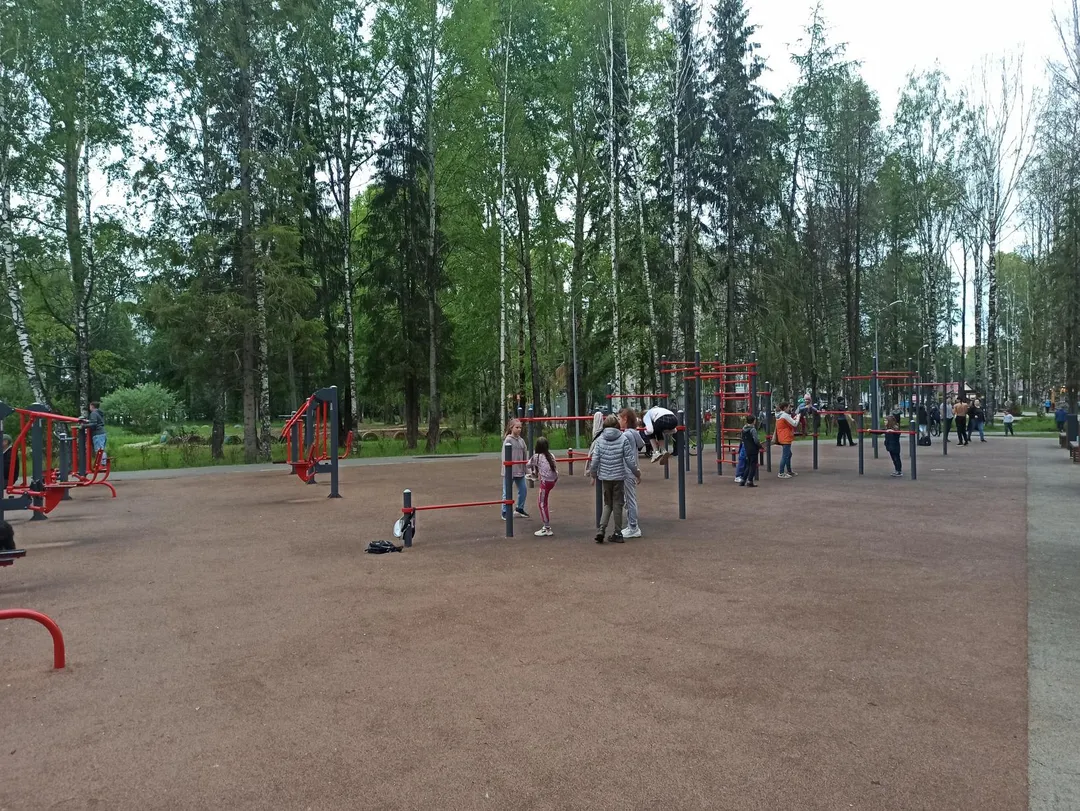 Liegestützgriffe bei Calisthenics Park at Парковая улица, Сыктывкар – Foto 2 von 2