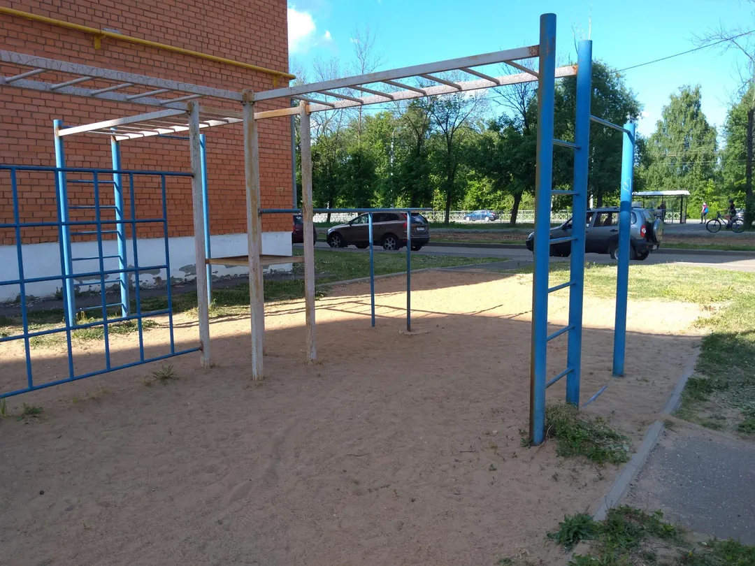 Monkey Bars at Calisthenics Park at Тутаевское шоссе, Ярославль – photo 3 of 4