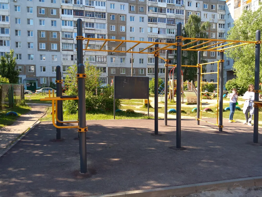 Monkey Bars at Calisthenics Park at улица Бабича, Ярославль – photo 3 of 6