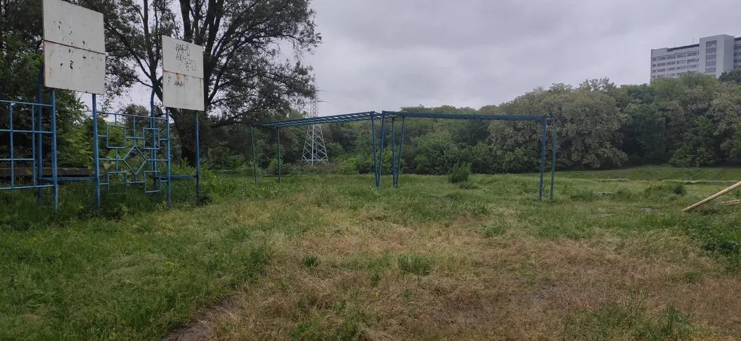 Wall Bars at Calisthenics Park at вулиця Ніла Армстронга, Дніпро – photo 5 of 7