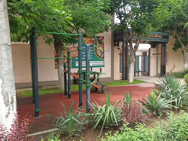 Calisthenics Park at Набережная улица, Николаевское сельское поселение