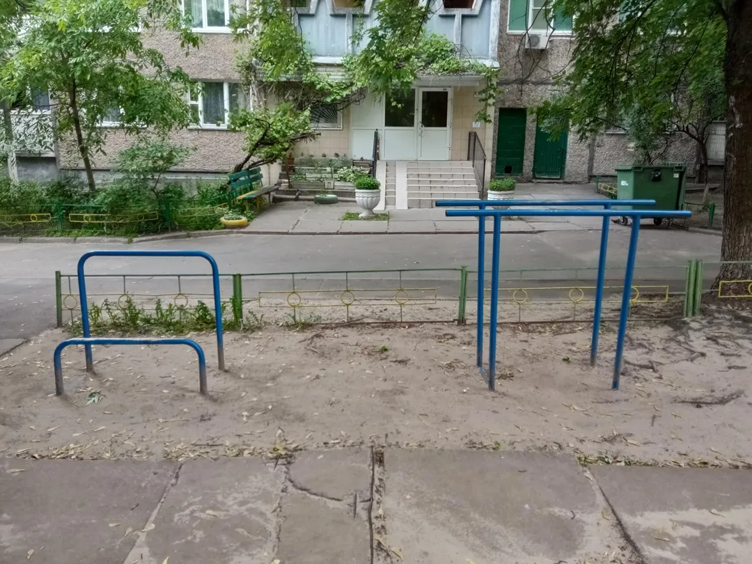 Monkey Bars la Calisthenics Park at вулиця Глібова, Київ #wp3138 – fotografia 3 din 5