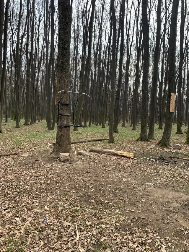 Calisthenics Park at Strada Matei Millo, Voluntari