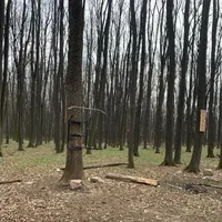 Locație mică in pădure Voluntari