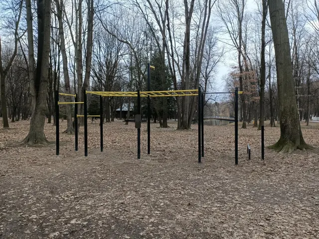 Calisthenics Park at вулиця Гетьмана Петра Дорошенка, Івано-Франківськ