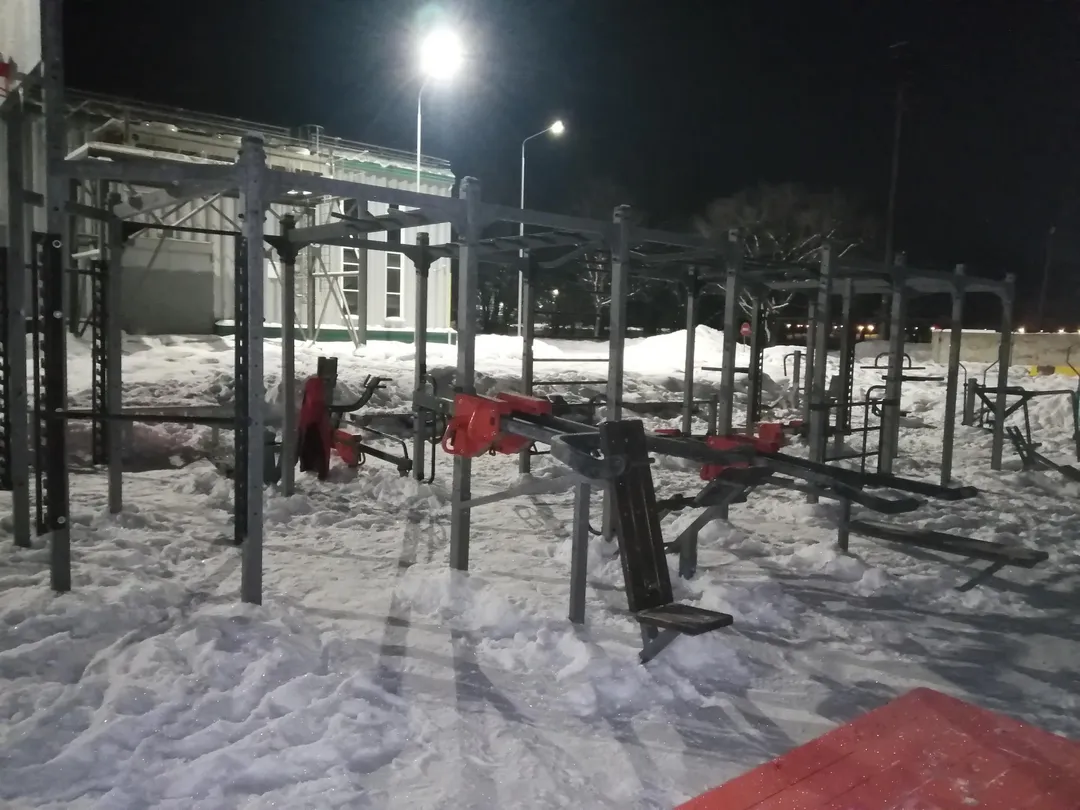 Barre de traction à Calisthenics Park at улица Казакевича, Биробиджан – photo 1 sur 4