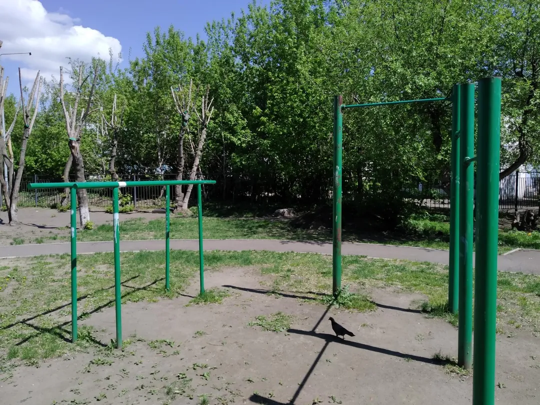 Bară de tracțiuni la Calisthenics Park at проспект Металлургов, Красноярск – fotografia 1 din 2