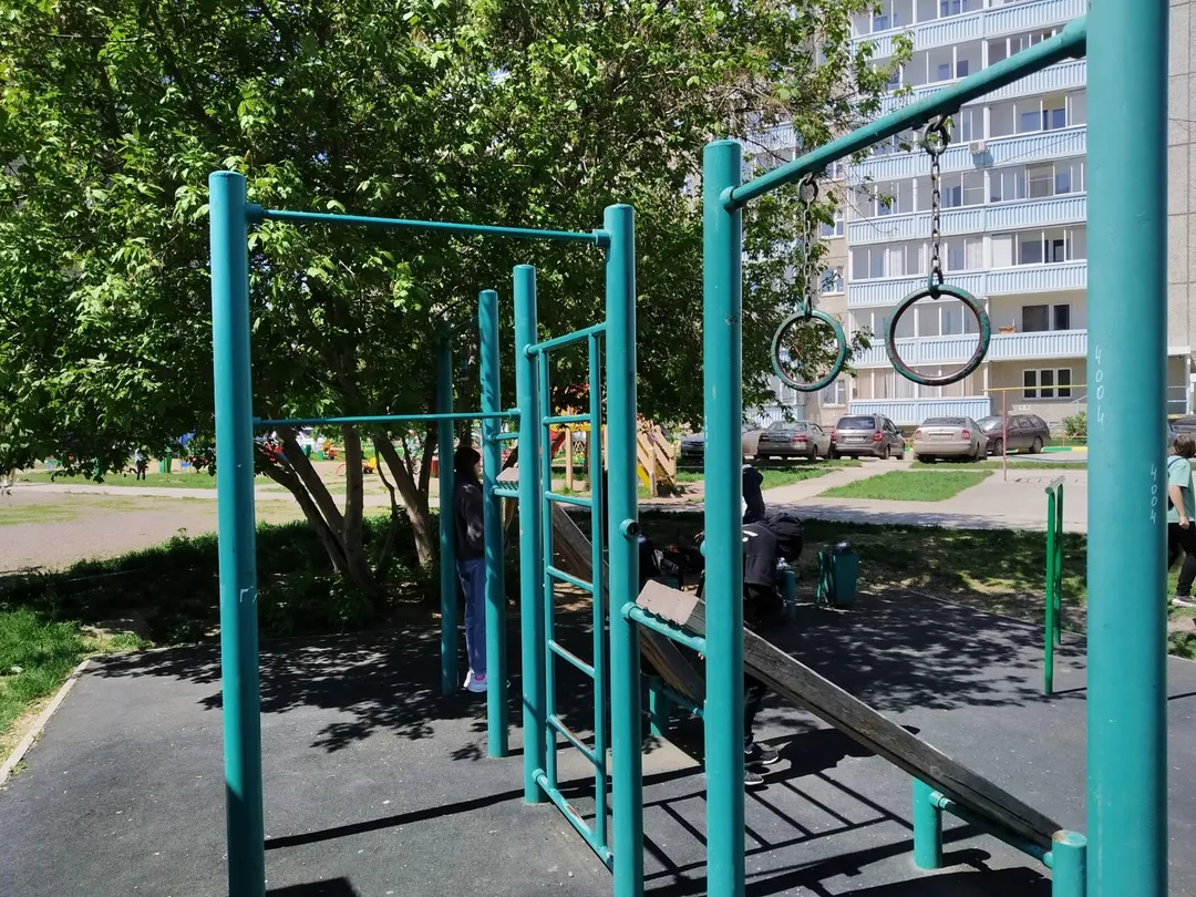 Monkey Bars la Calisthenics Park at улица Мате Залки, Красноярск – fotografia 3 din 4
