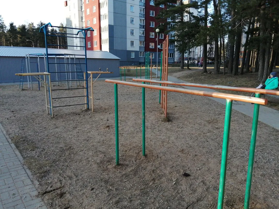 Wall Bars at Calisthenics Park at вуліца Гурцьева, Мінск – photo 4 of 4
