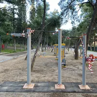 Calisthenics Park at Εφέσου, Δήμος Νέας Σμύρνης - thumbnail 6