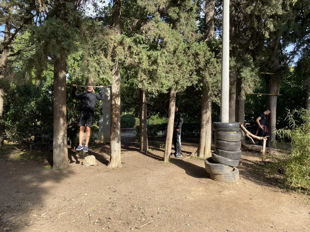 Bară de tracțiuni la Calisthenics Park at Ευελπίδων, Αθήνα – fotografia 7 din 7