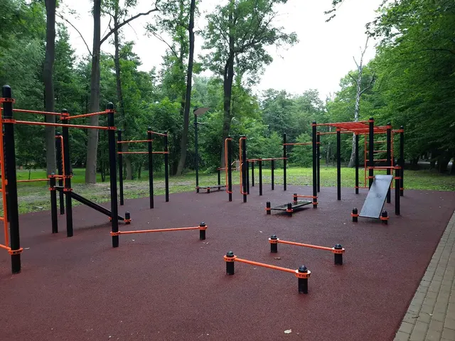 Calisthenics Park at Московская улица, Зеленоградск