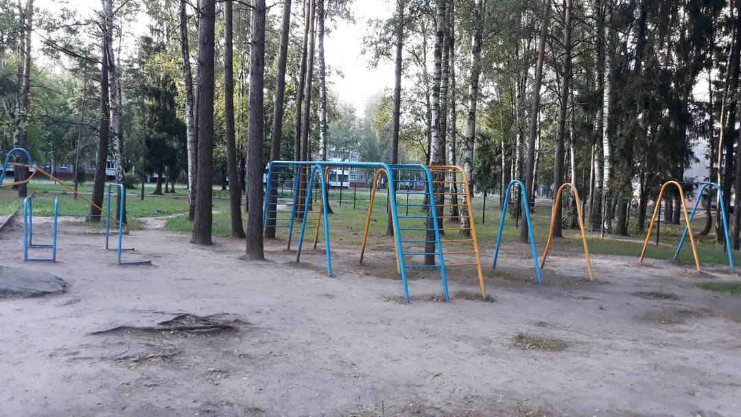 Pull Up Bar at Calisthenics Park at вуліца Дружбы, Наваполацк – photo 1 of 5