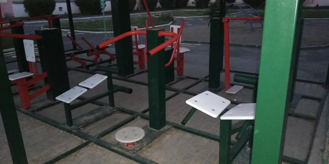 Air Walker at Calisthenics Park at Принцесса спорта, Мінск – photo 4 of 4