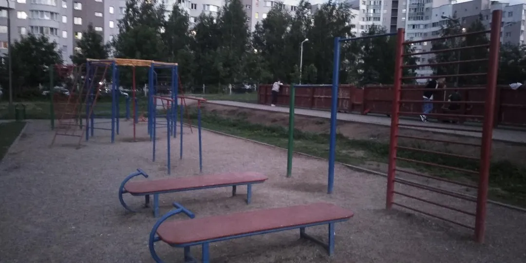 Parallel Gym Bars at Calisthenics Park at вуліца Язэпа Драздовіча, Мінск – photo 2 of 3