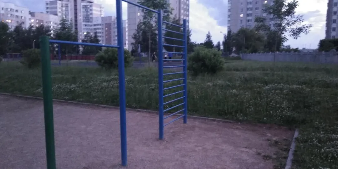 Monkey Bars at Calisthenics Park at вуліца Язэпа Драздовіча, Мінск – photo 3 of 3
