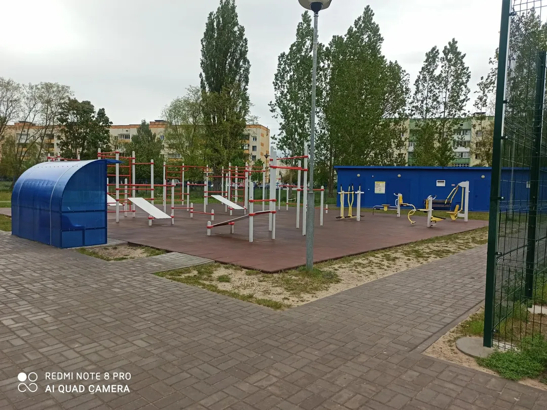 Maniglie per piegamenti presso Calisthenics Park at Штабная вуліца, Кобрын – foto 2 di 3