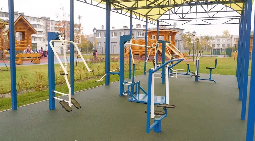Шведская стенка на площадке Calisthenics Park at Швейцарская улица, Ломоносов – фото 3 из 4