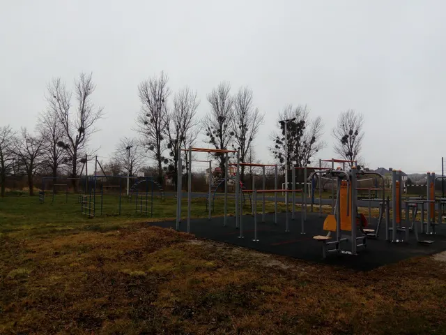 Calisthenics Park at Янтарная улица, Ушаково
