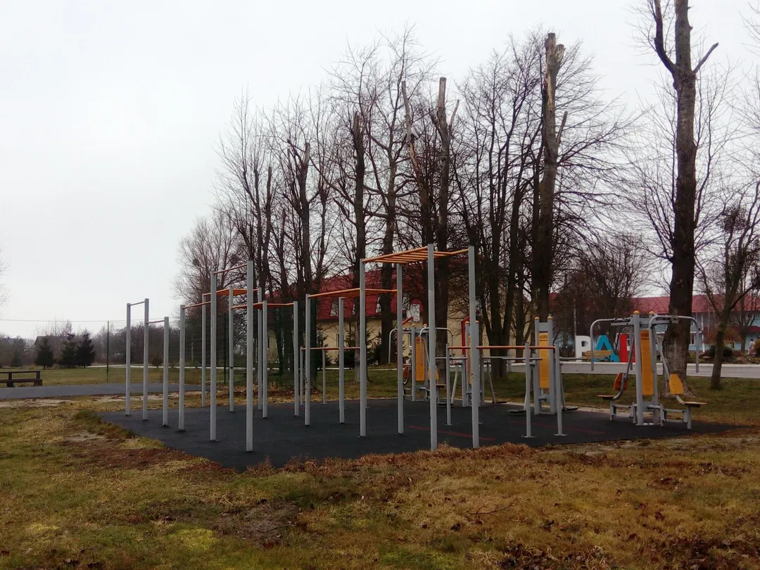 Monkey Bars la Calisthenics Park at Янтарная улица, Ушаково – fotografia 2 din 3