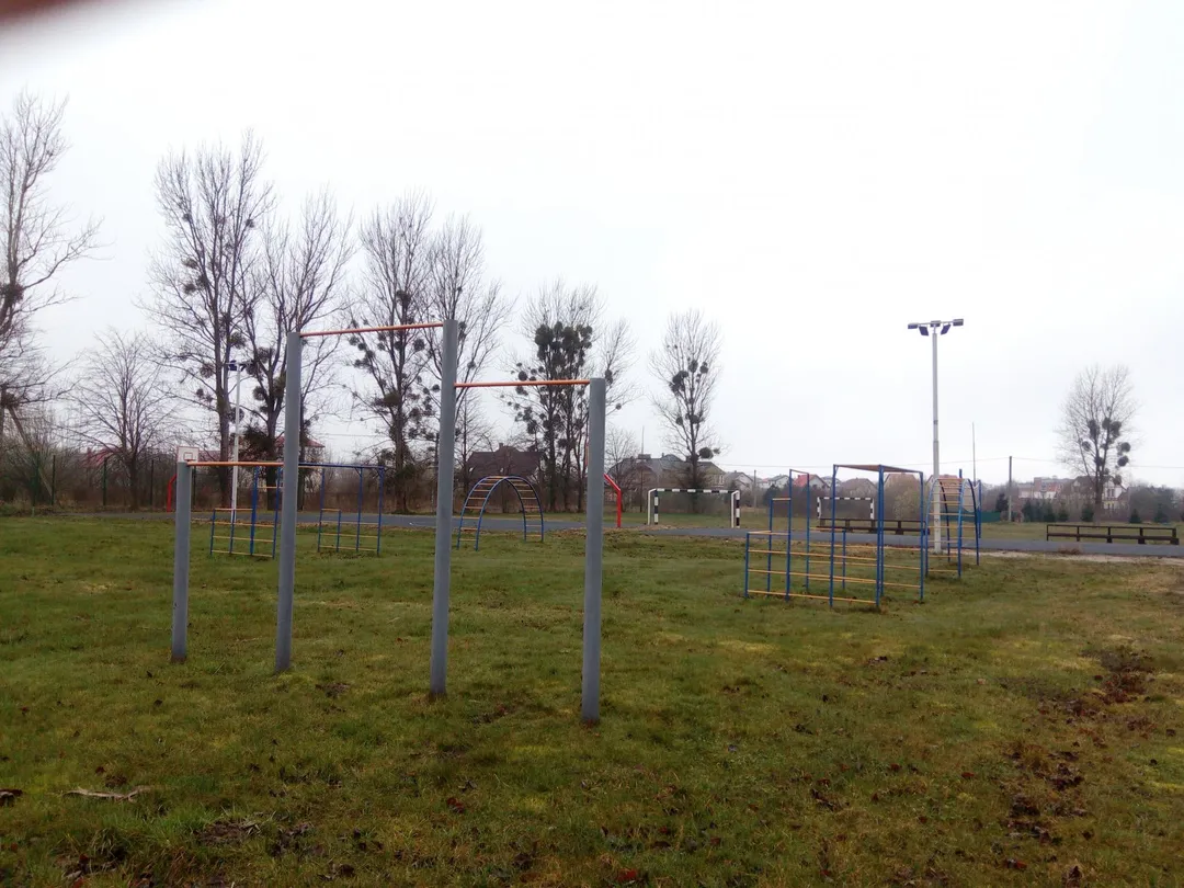 Spalier la Calisthenics Park at Янтарная улица, Ушаково – fotografia 3 din 3