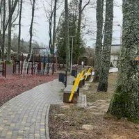Calisthenics Park at Izmēģinātāju iela, Priekuļu pagasts - thumbnail 3