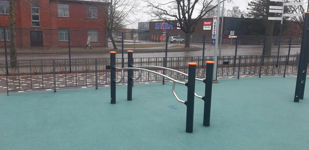 Monkey Bars la Calisthenics Park at Dzintara iela, Cēsis – fotografia 4 din 11