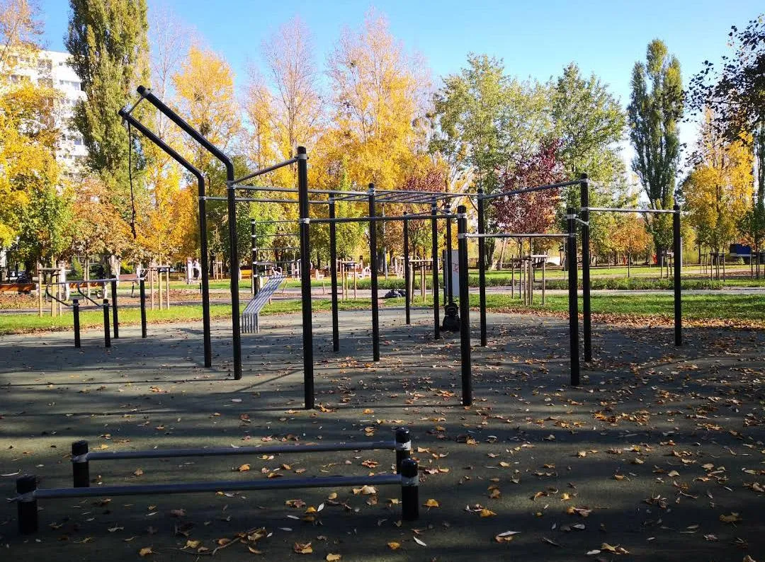 Barres de singe à Calisthenics Park at RoweLove Rataje, Poznań – photo 4 sur 4