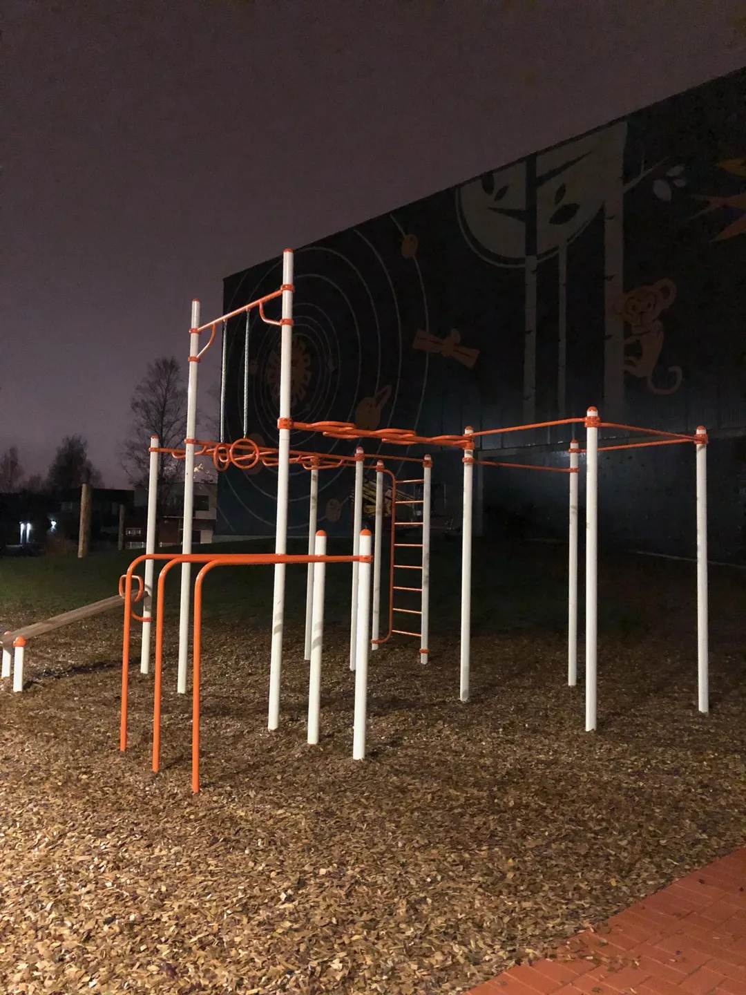 Barras de Mono en Calisthenics Park at Aianduse, Tartu linn – foto 3 de 4