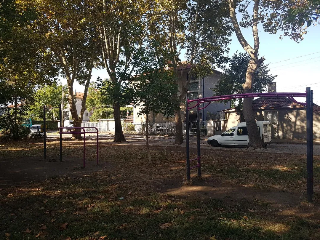 Monkey Bars at Calisthenics Park at Чумерна, Ямбол – photo 3 of 3