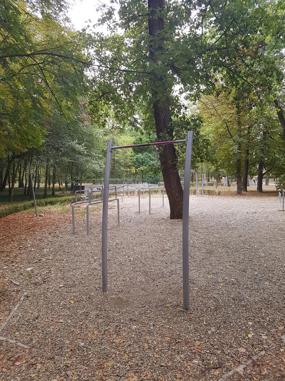 Sbarra per trazioni presso Outdoor Gym in ж.к. Златен рог, Ямбол #wp3273 – foto 1 di 3