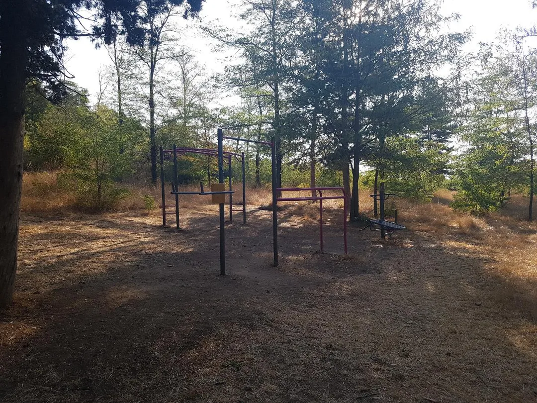 Бруси на майданчику Outdoor Gym in ж.к. Боровец, Ямбол – фото 2 з 3