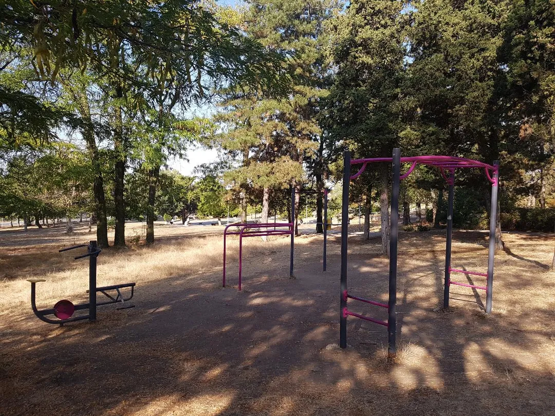 Турнік на майданчику Outdoor Gym in ж.к. Боровец, Ямбол – фото 1 з 3