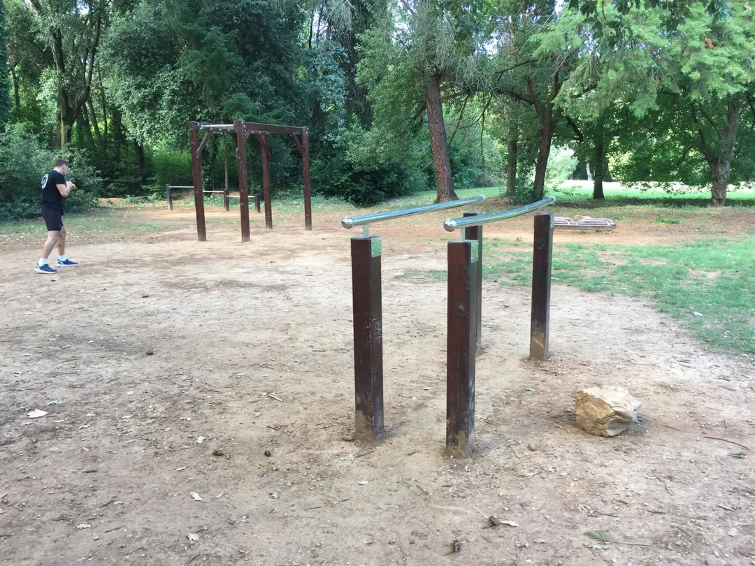 Wall Bars at Calisthenics Park at Ulica Luje Adamovića, Grad Rovinj – photo 4 of 4