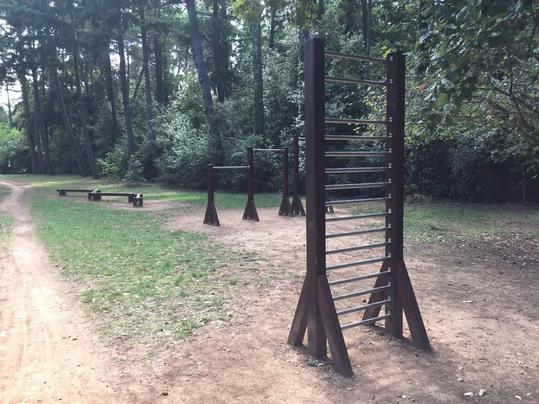 Monkey Bars at Calisthenics Park at Ulica Luje Adamovića, Grad Rovinj – photo 3 of 4