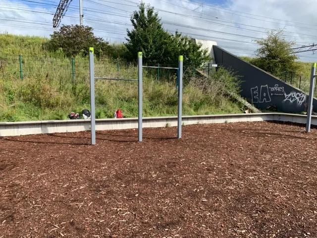 Calisthenics Park at Overbrakerpad, Amsterdam
