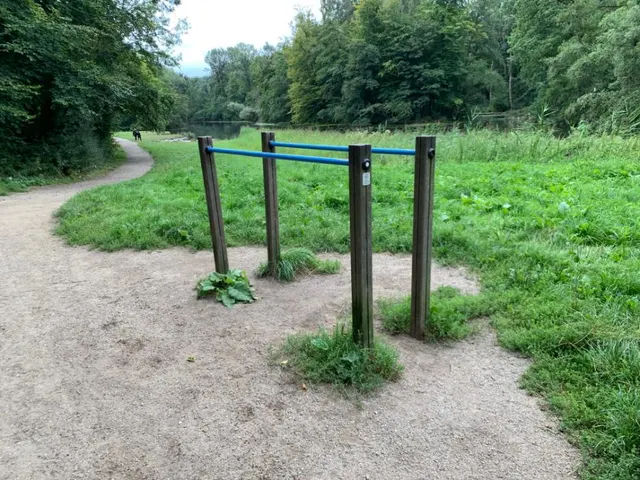 Calisthenics Park at Grote Speelweide, Amstelveen
