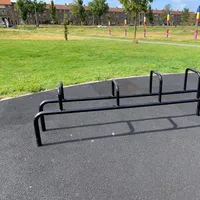Calisthenics Park at Bar Brothers Park, Haarlem - thumbnail 3