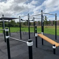 Calisthenics Park at Bar Brothers Park, Haarlem - thumbnail 5