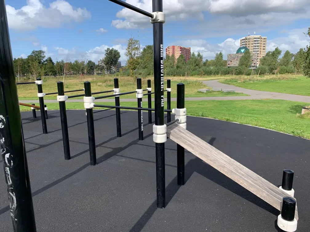 Wall Bars at Calisthenics Park at Bar Brothers Park, Haarlem – photo 6 of 10