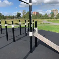 Calisthenics Park at Bar Brothers Park, Haarlem - thumbnail 6