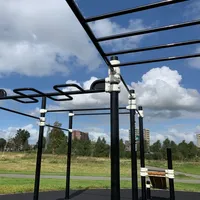 Calisthenics Park at Bar Brothers Park, Haarlem - thumbnail 7