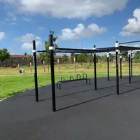 Calisthenics Park at Bar Brothers Park, Haarlem - thumbnail 10