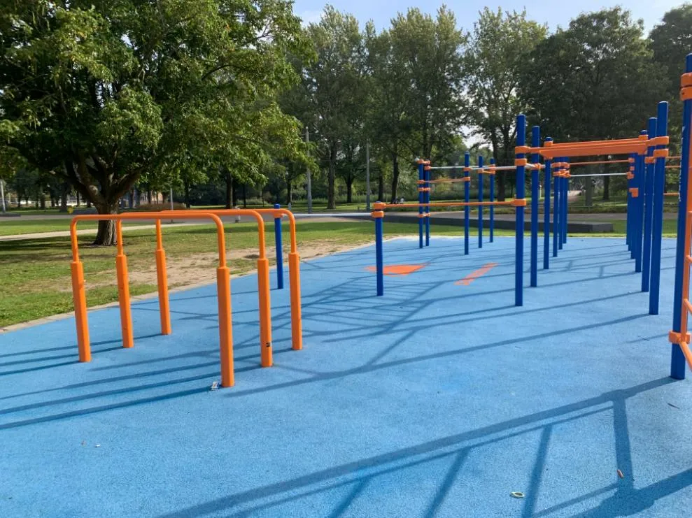 Barres de singe à Calisthenics Park at Wolbrantskerkweg, Amsterdam – photo 3 sur 9
