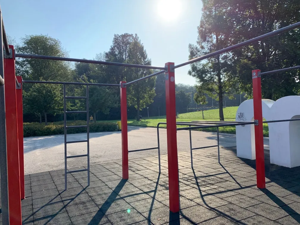 Monkey Bars la Calisthenics Park at Cornelis Lelylaan, Amsterdam – fotografia 4 din 4