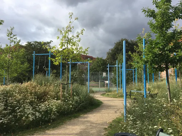 Calisthenics Park at Guldbergs Plads, København