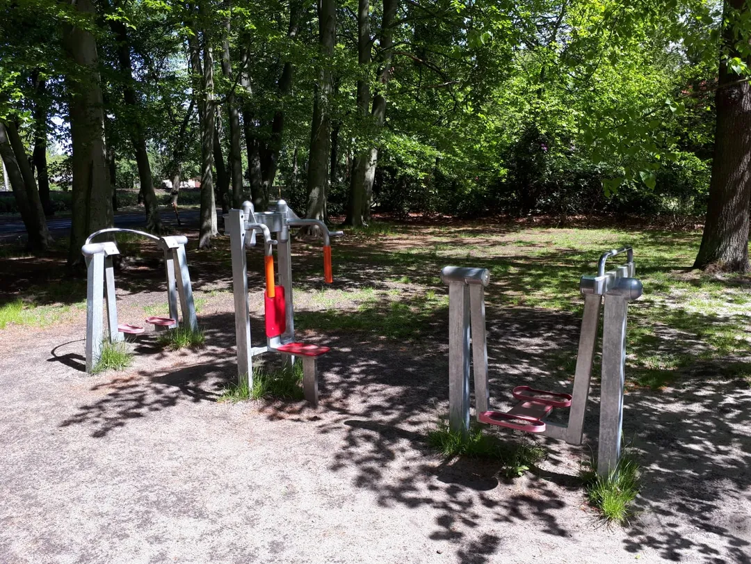 Monkey bar presso Calisthenics Park at Forststraße, Finsterwalde – foto 3 di 3