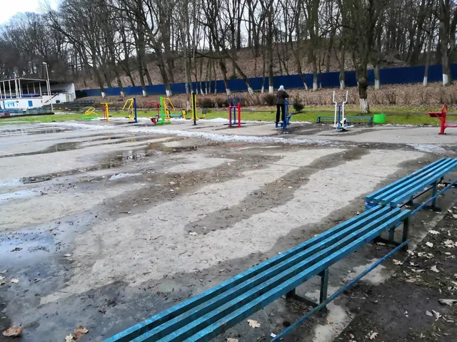 Calisthenics Park at Черняховский городской стадион Прогресс, Черняховск