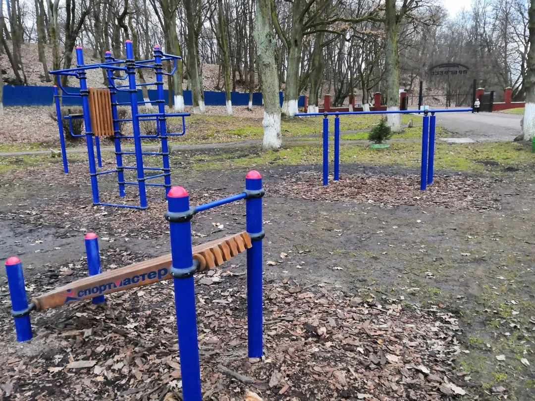 Monkey bar presso Calisthenics Park at Черняховский городской стадион Прогресс, Черняховск – foto 3 di 5